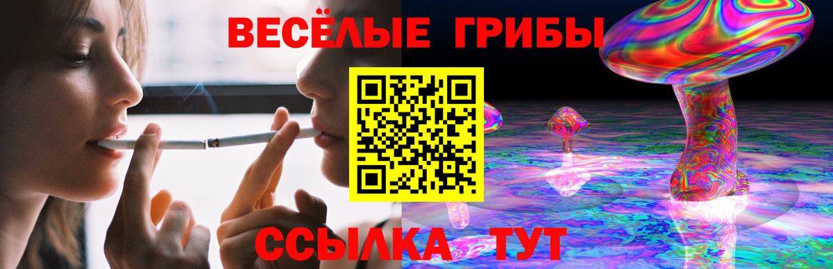 магазин    Псилоцибиновые грибы мицелий  Вход с VPN  Псилоцибиновые грибы Cubensis  Наро-Фоминск 